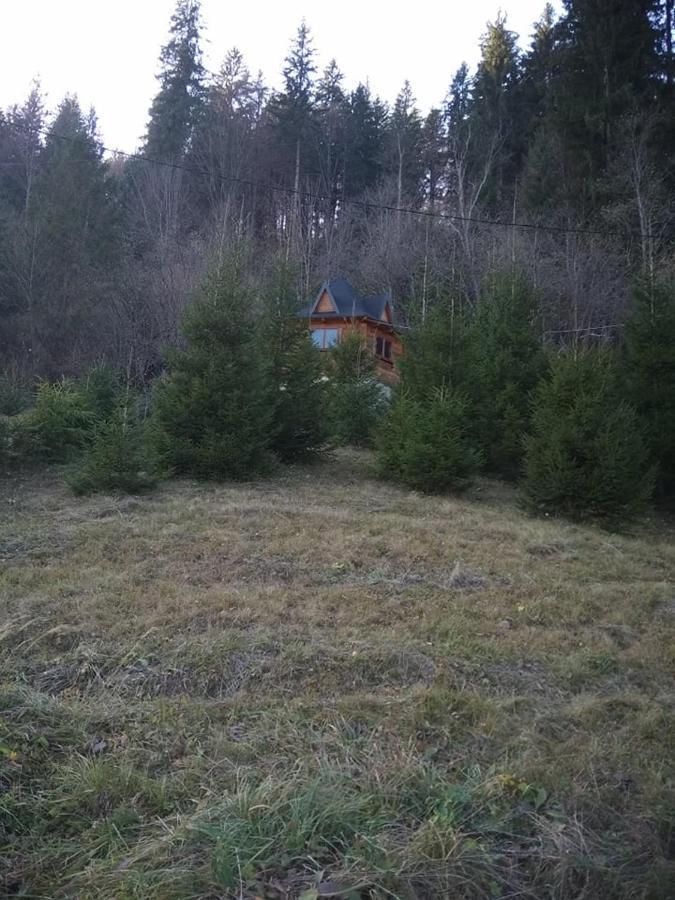 На Полумистому Villa Mykulychyn Luaran gambar
